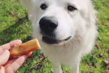 Redbarn Naturals Bully Bites Dog Treats, 10oz