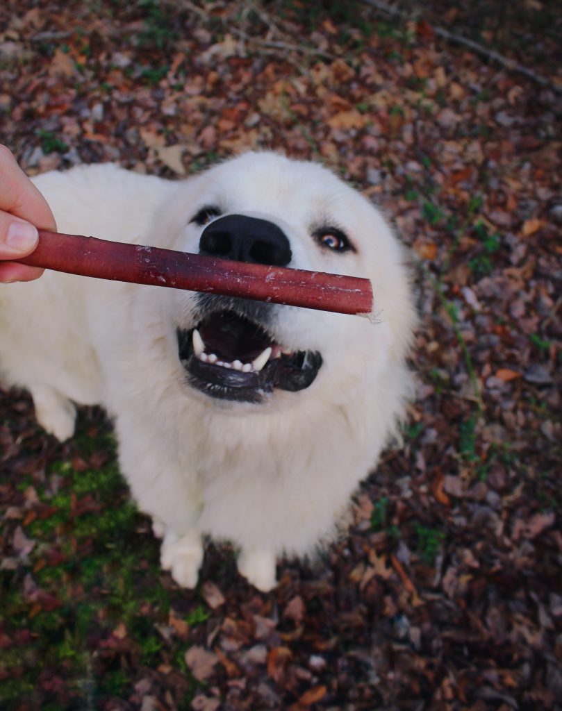 Redbarn Odor-Free Bully Stick Dog Treat, 7in