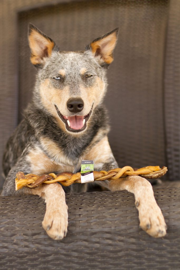 Redbarn Braided Bully Stick Dog Treat, 5in