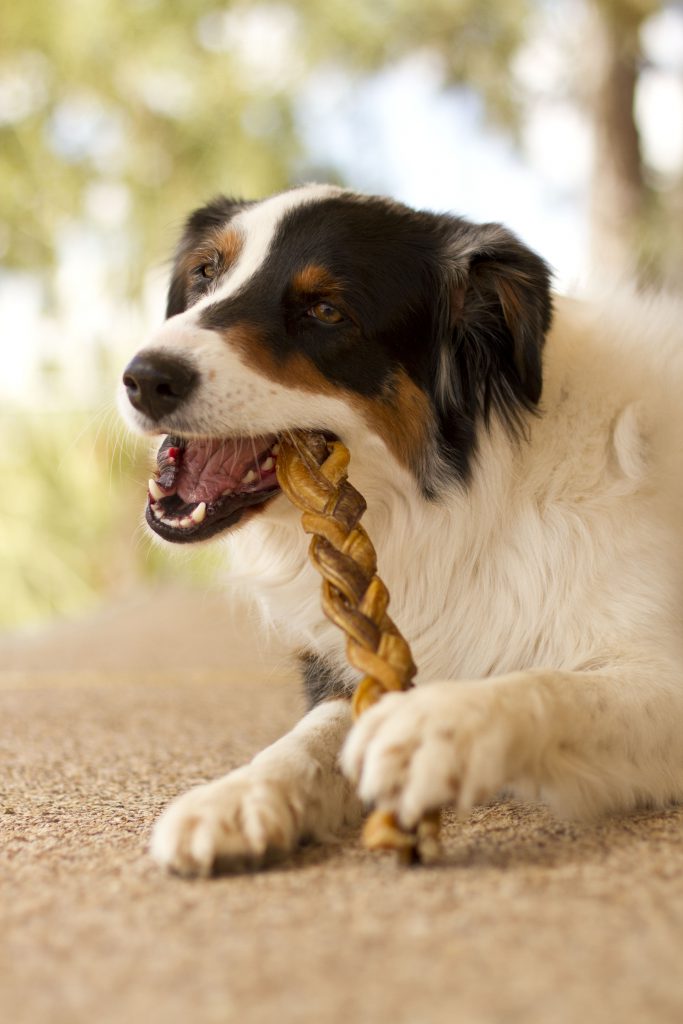 Redbarn Braided Bully Stick Dog Treat, 7in