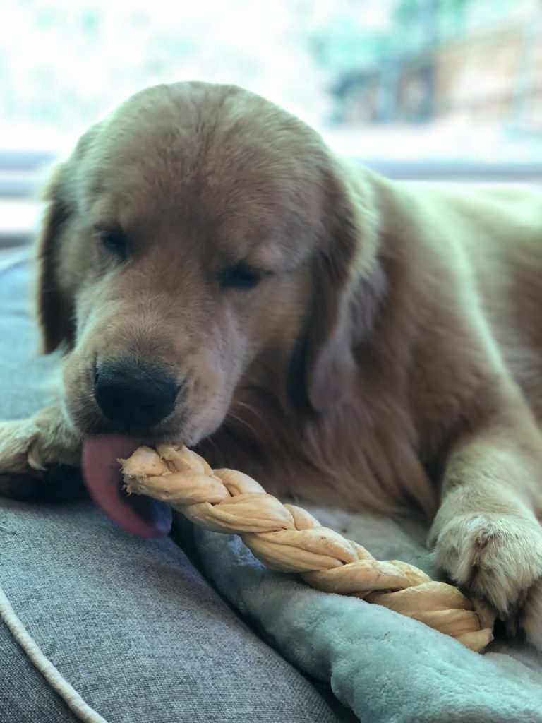 Redbarn Puff Braid Rawhide Alternative Dog Treat