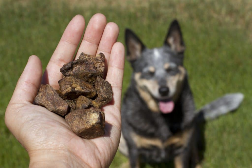Redbarn Naturals Bully Nuggets Dog Treats, 3.9-oz bag