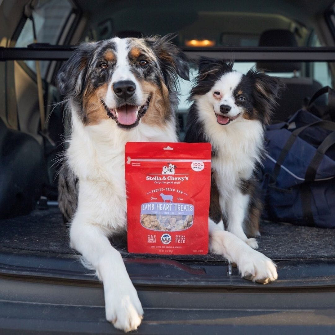 Stella & Chewy's Freeze Dried Lamb Heart Treats For Dogs, 3oz