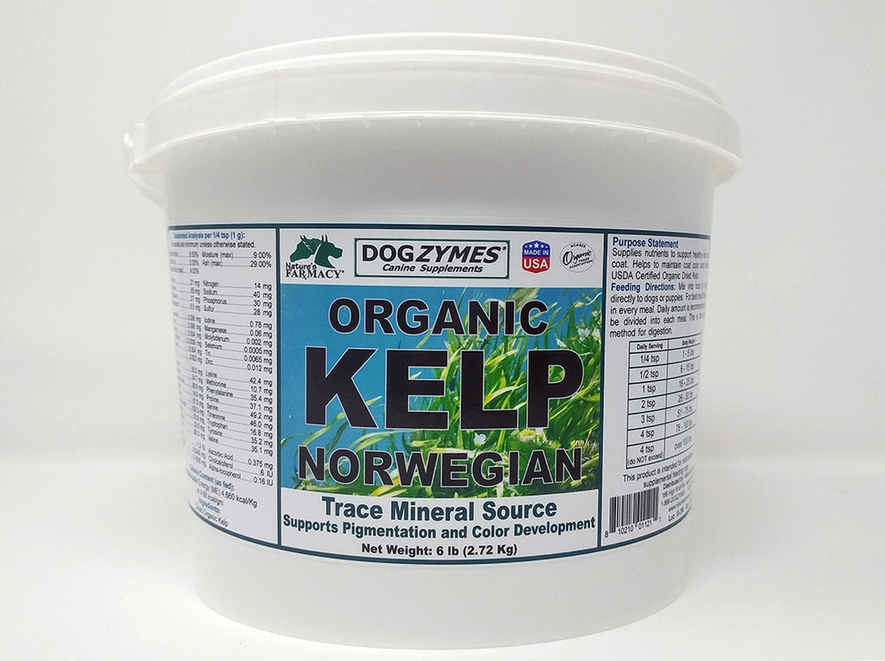 Norwegian kelp for dogs best sale