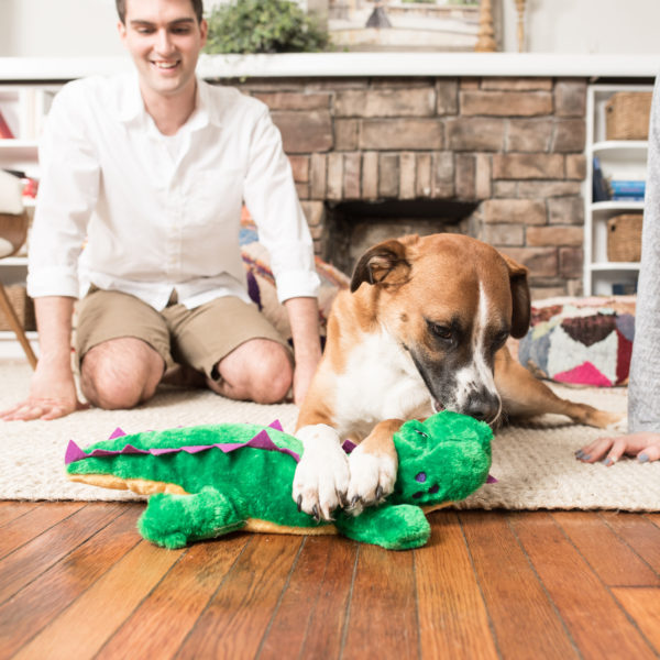 ZippyPaws Grunterz Plush Dog Toy, Alvin the Alligator