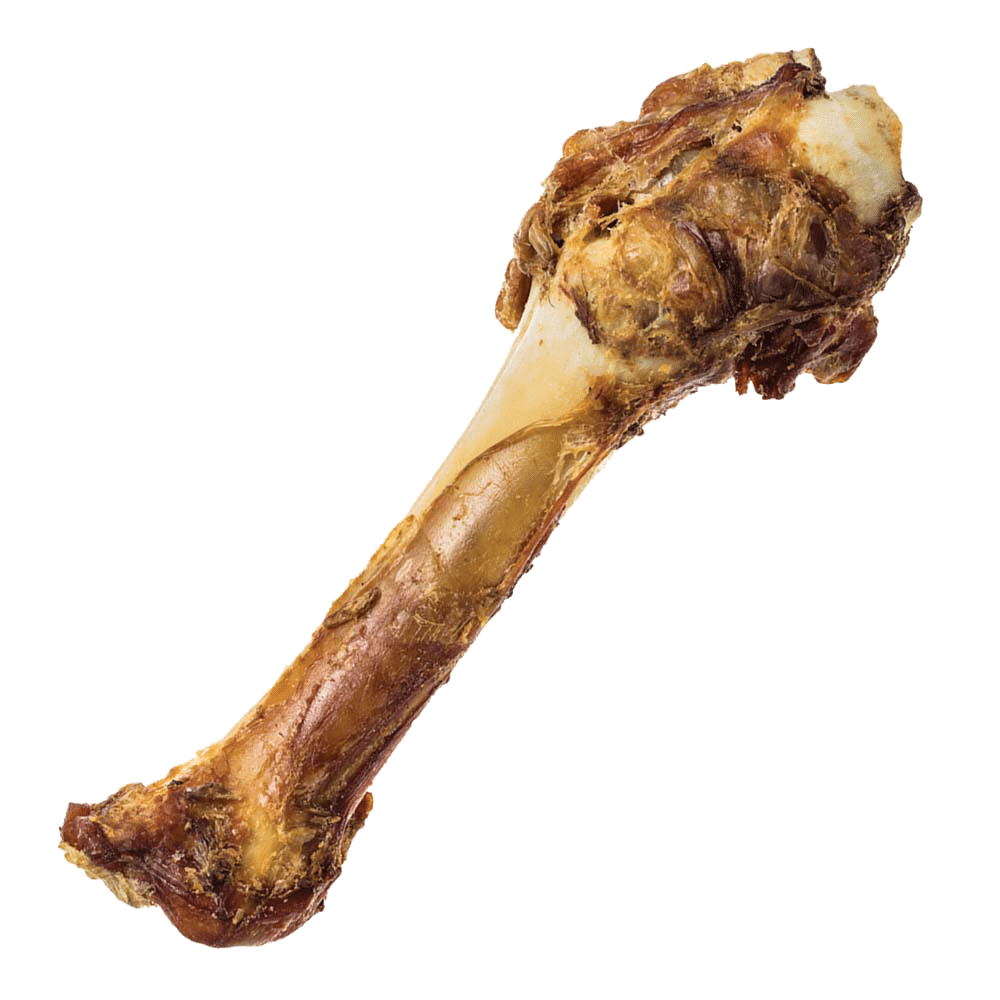 Redbarn Beef Shank Bone Dog Treat