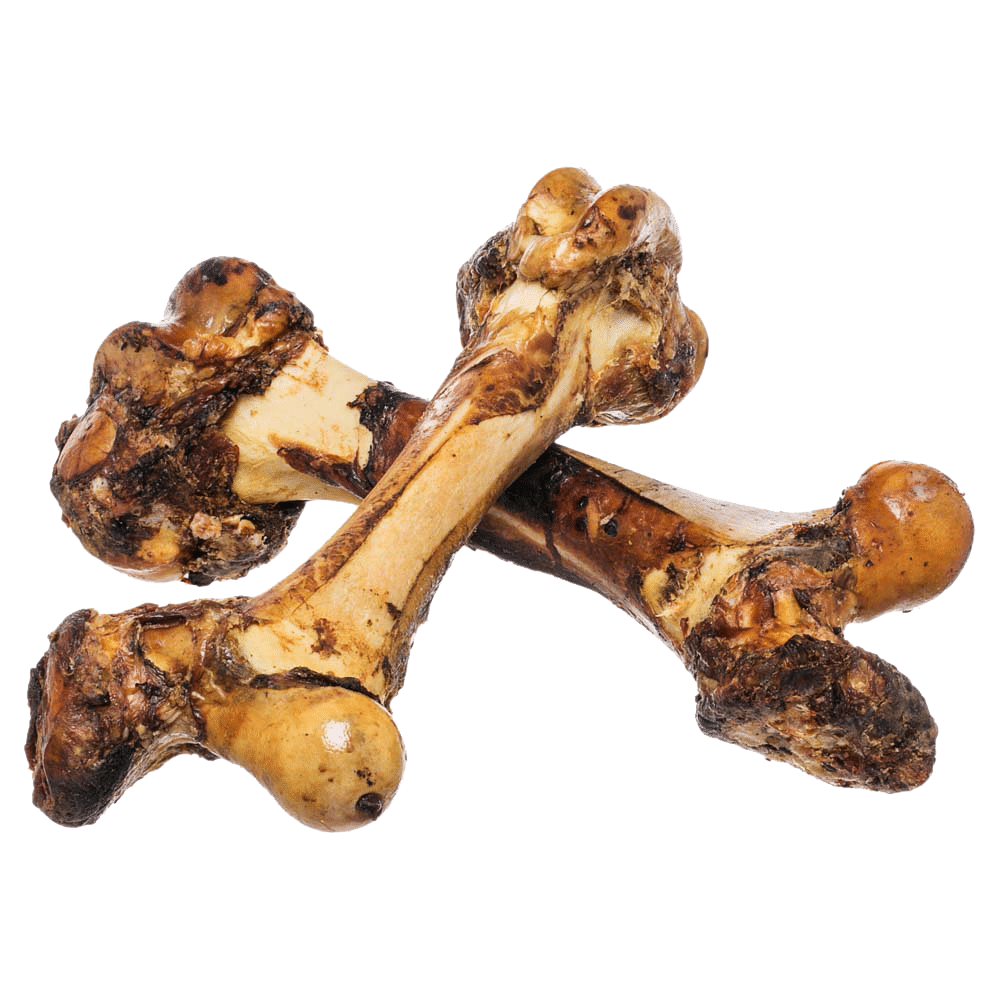 Mammoth bone dog treat best sale