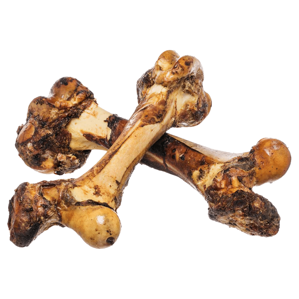 Cow femur bone for dogs clearance