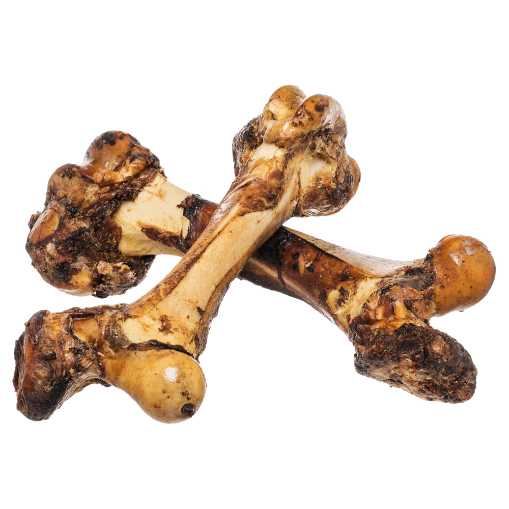 Redbarn Mammoth Beef Femur Bone Dog Treat