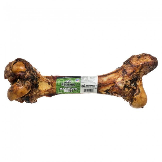 Redbarn Mammoth Beef Femur Bone Dog Treat