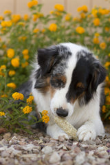 Redbarn Filled Munchie Retrievers, Peanut Butter Flavor