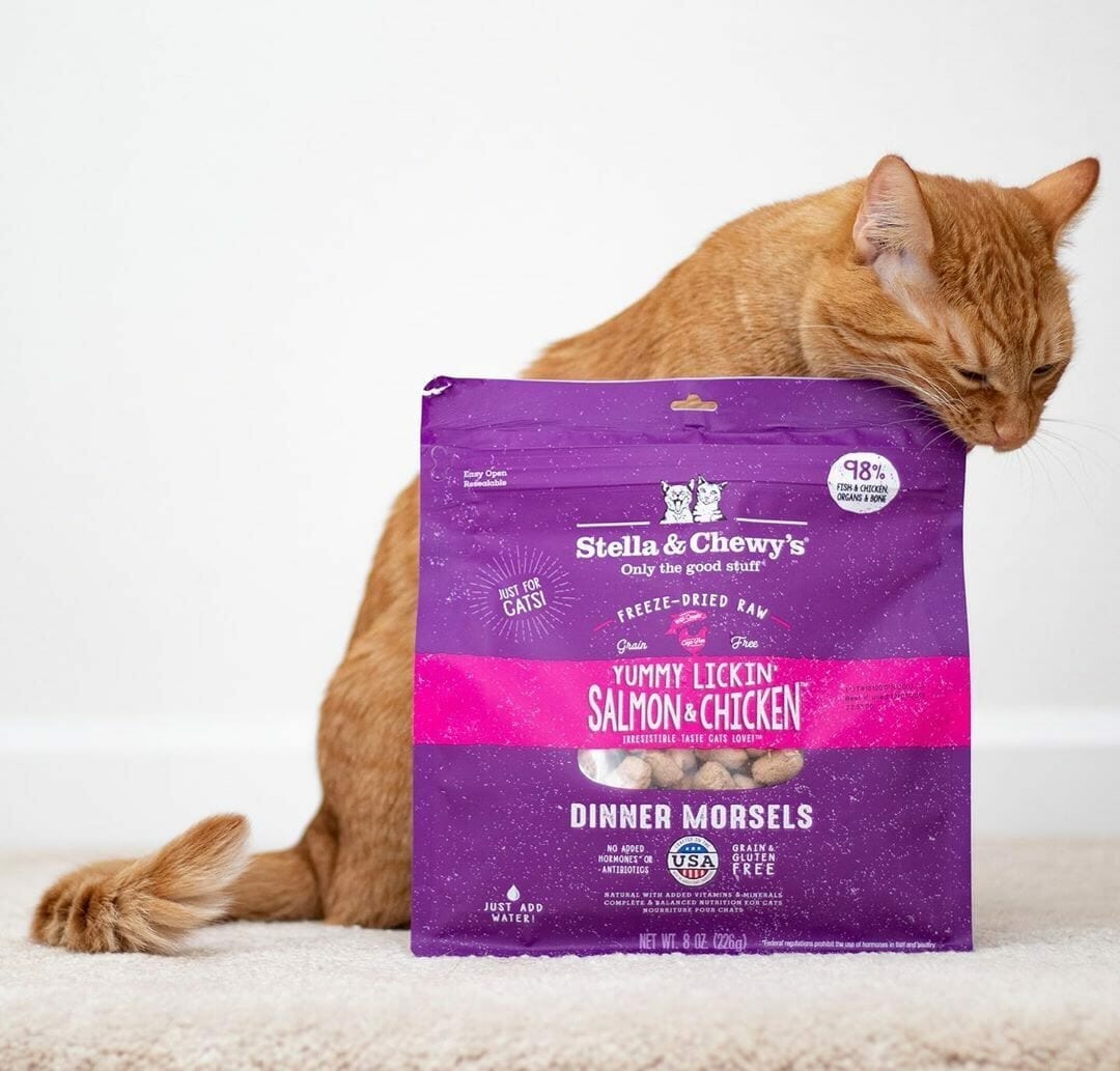 Stella & Chewy's Yummy Lickin' Salmon & Chicken Dinner Morsels Freeze Dried Cat Food