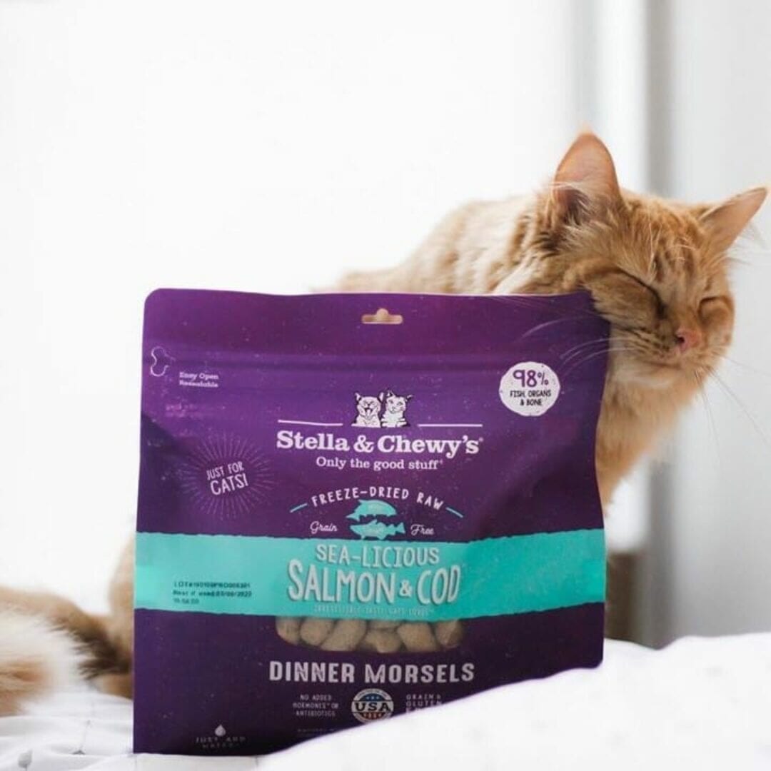 Stella & Chewy's Sea Licious Salmon & Cod Dinner Morsels Freeze Dried Cat Food