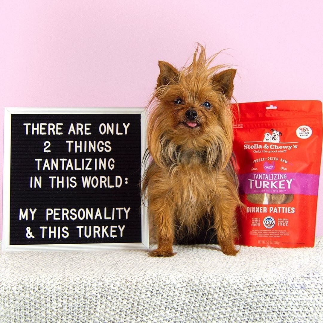 Stella & Chewy's Tantalizing Turkey Dinner Patties Freeze-Dried Dog Food