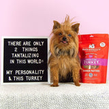 Stella & Chewy's Tantalizing Turkey Dinner Patties Freeze-Dried Dog Food