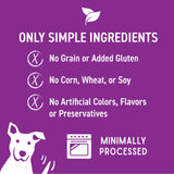 Cloud Star Wag More Bark Less Grain Free Duck & Apple Jerky Dog Treats, 10oz