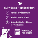 Cloud Star Wag More Bark Less Grain Free Oven Baked Dog Treats, Assorted Flavors 14oz