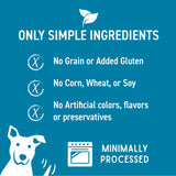 Cloud Star Wag More Bark Less Grain Free Soft & Chewy Dog Treats with Smooth Aged Cheddar, 5oz