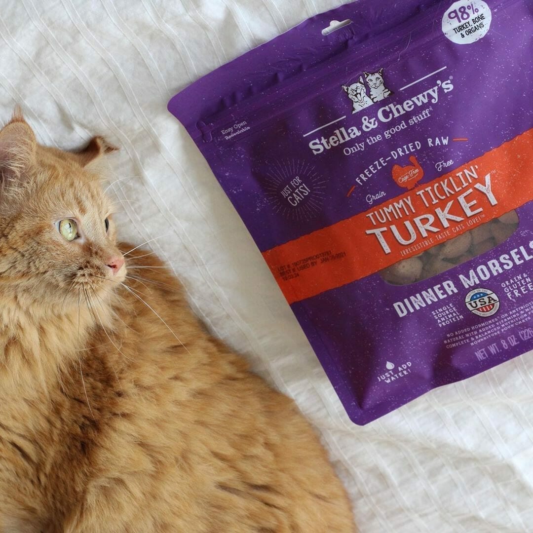 Stella and chewy outlet freeze dried cat food