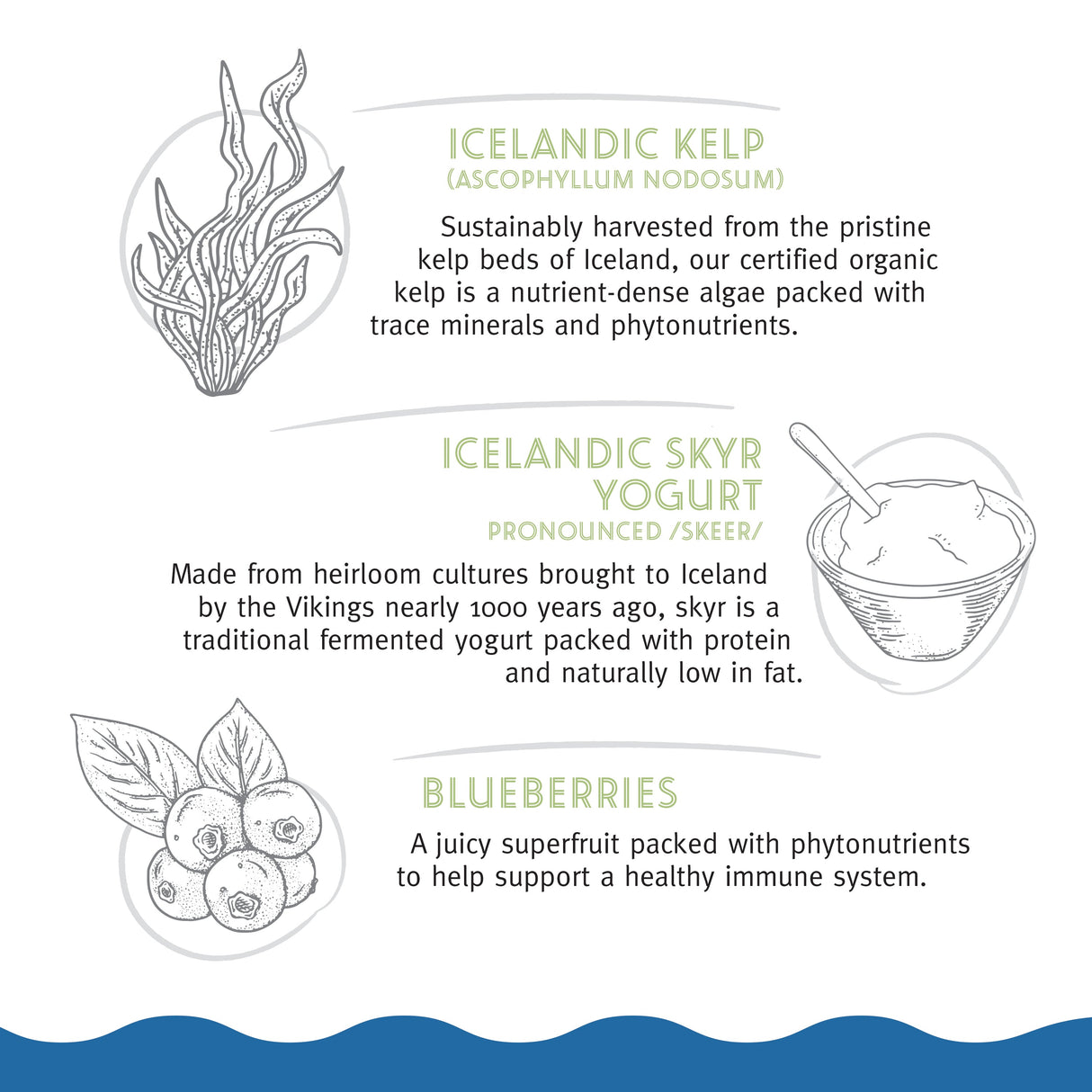 Icelandic+ Jerky Bars Kelp & Skyr Recipe Soft Dog Treats, 2.5oz