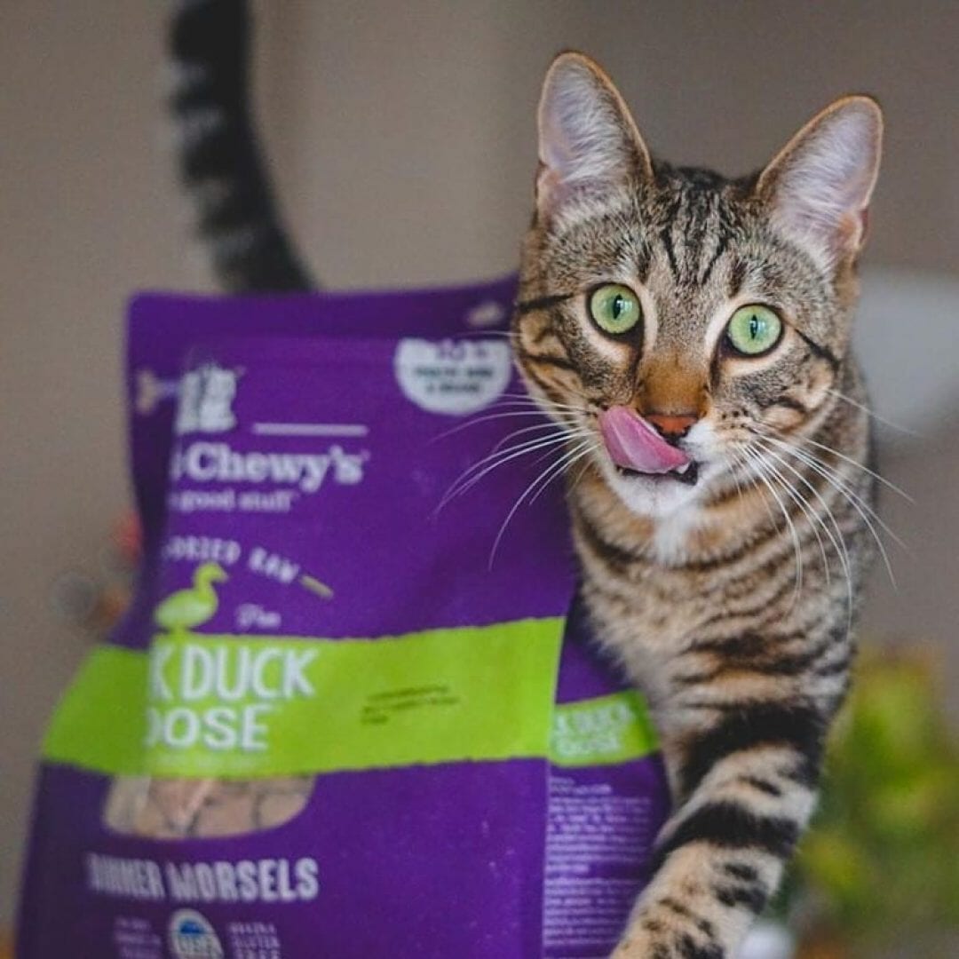Stella & Chewy's Duck Duck Goose Dinner Morsels Freeze Dried Cat Food