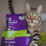 Stella & Chewy's Duck Duck Goose Dinner Morsels Freeze Dried Cat Food