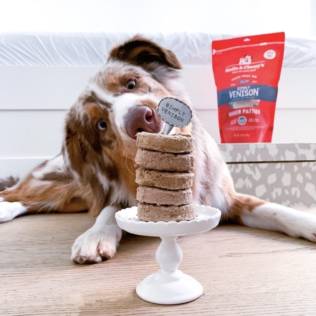 Stella & Chewy's Simply Venison Dinner Patties Freeze-Dried Dog Food