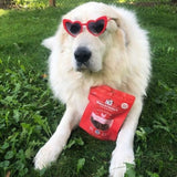 Stella & Chewy's Freeze Dried Chicken Heart Treats For Dogs