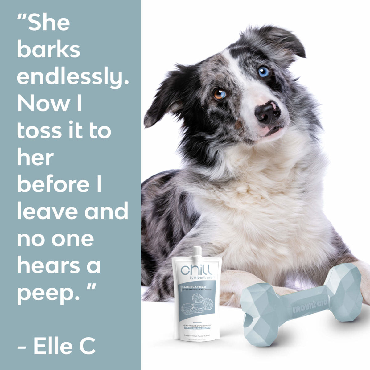 Mount Ara CHILL Playtime Kit with Calming Peanut Butter Spread For Dogs