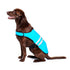 ZippyPaws Cooling Vest For Dogs, Blue