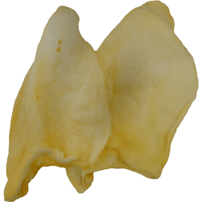 Premium White Cow Ear Dog Treat, Md/Large