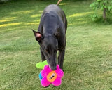 Cycle Dog USA Duraplush Unstuffed Potted Plants