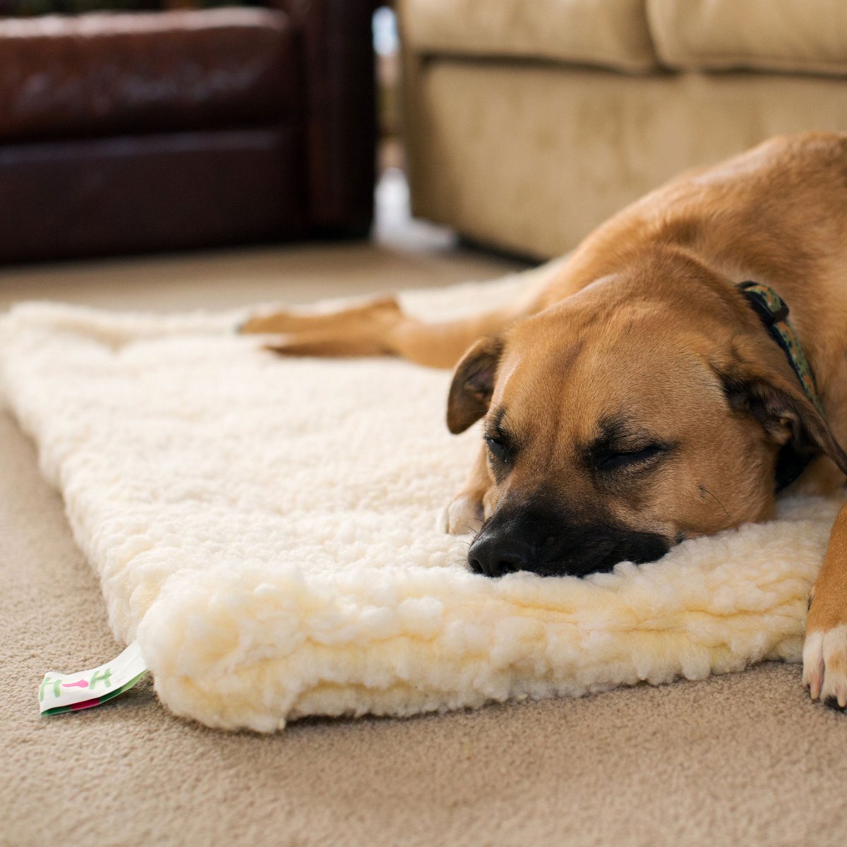 HuggleHounds HuggleFleece Mat Dog Bed, Natural
