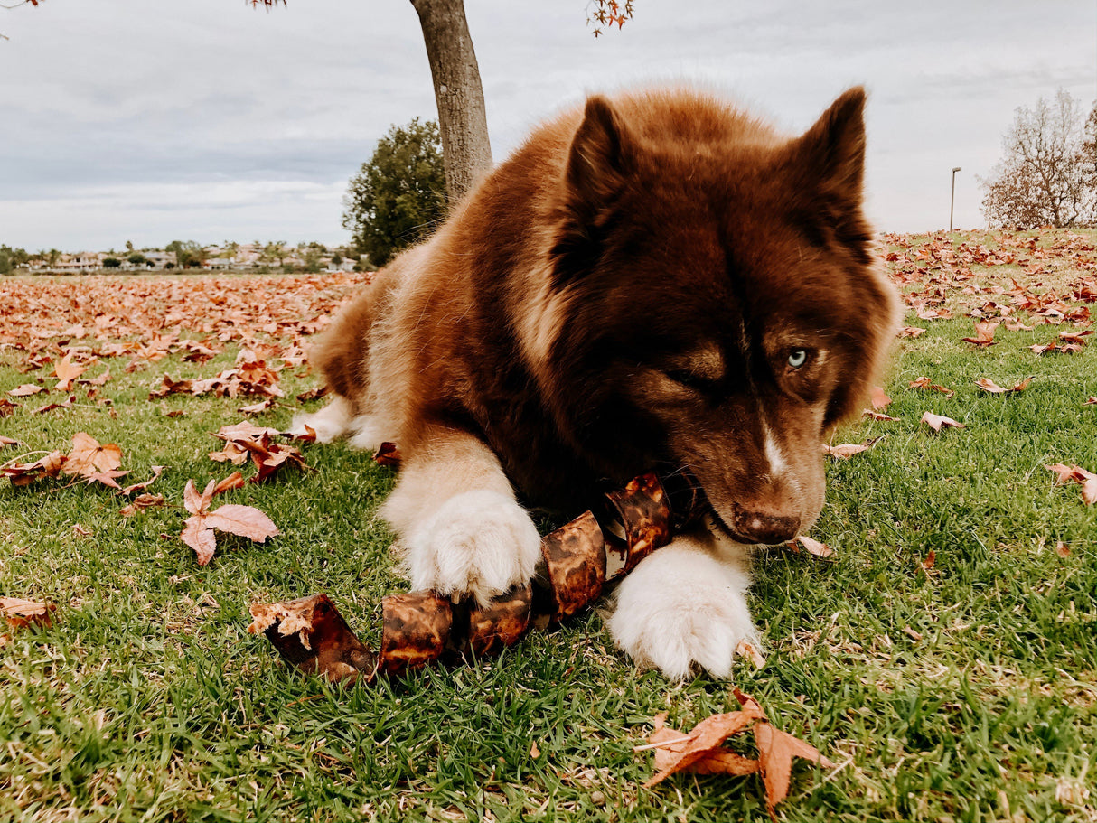 Redbarn Jumbo Twister Natural Dog Chew