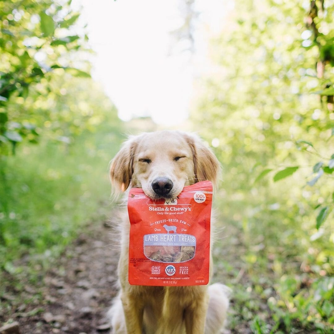 Stella & Chewy's Freeze Dried Lamb Heart Treats For Dogs, 3oz
