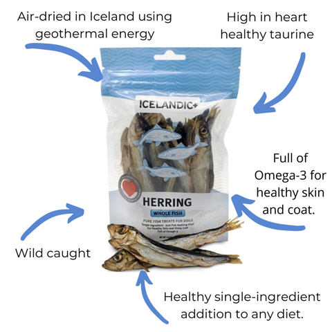 Icelandic+ Whole Herring Fish Crunchy Dog Treats
