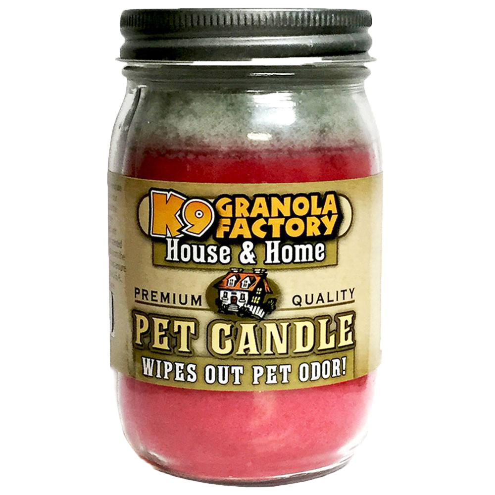 K9 Granola Factory Odor Eliminator Candle, Watermelon Slice