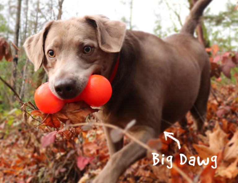 RuffDawg USA Indestructible Big-Dawg Rubber Dog Toy