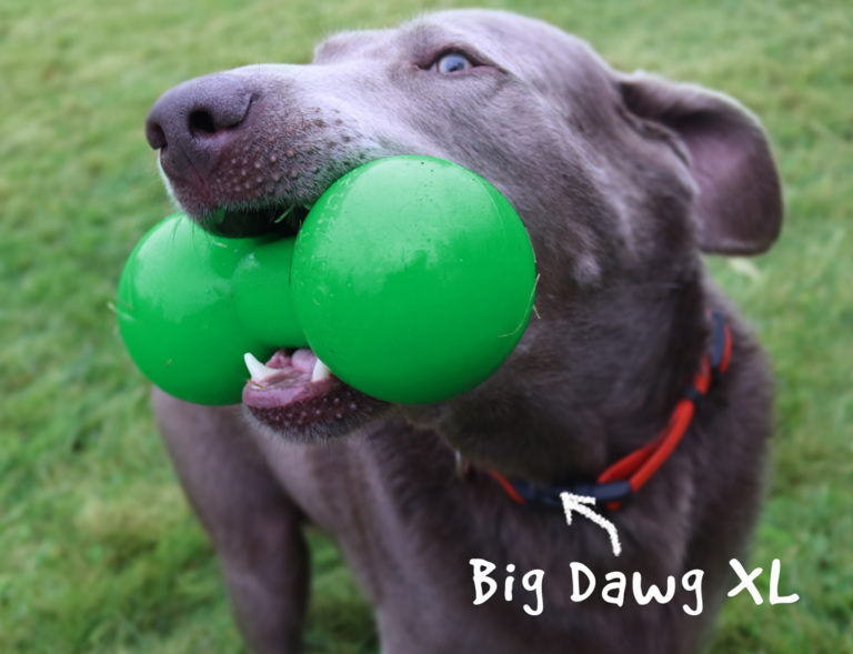 RuffDawg USA Indestructible Big-Dawg Rubber Dog Toy