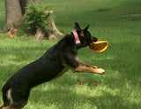 RuffDawg USA K9 Flyer Rubber Frisbee Dog Toy