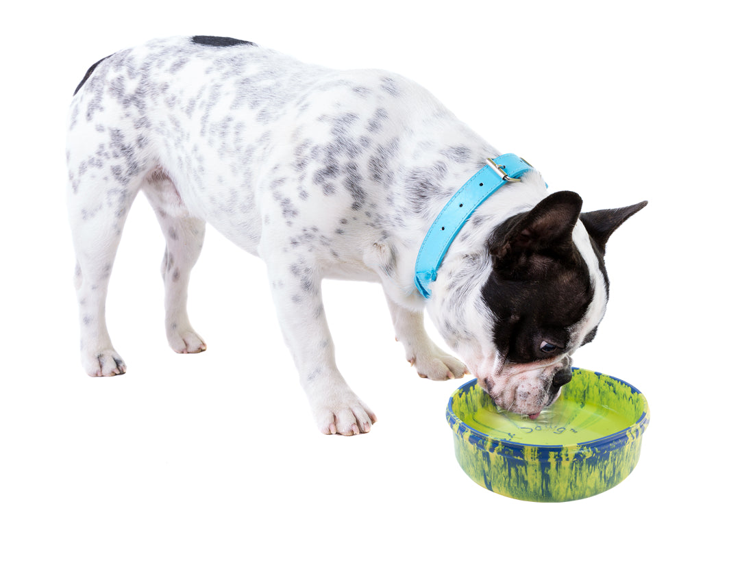 RuffDawg USA Rubber Dog Bowl, Assorted