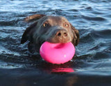 RuffDawg USA Dawg-Nut Rubber Retrieving Dog Toy
