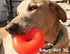 RuffDawg USA Dawg-Nut Rubber Retrieving Dog Toy