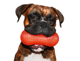 RuffDawg USA Peanut Rubber Retrieving Dog Toy, Assorted
