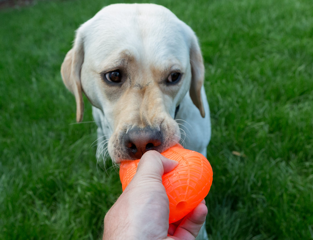 RuffDawg USA Peanut Crunch Rubber Retrieving Dog Toy, Assorted
