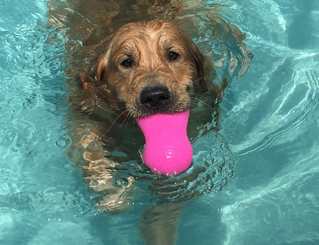 RuffDawg USA Peanut Crunch Rubber Retrieving Dog Toy, Assorted