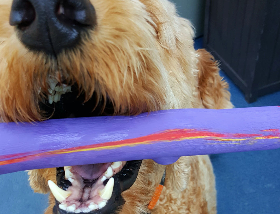 RuffDawg USA Rubber Retrieving Crunch Stick Dog Toy, Assorted