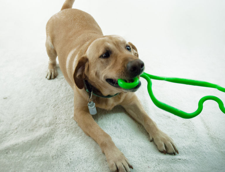 RuffDawg USA Super Tug Rubber Tug Dog Toy