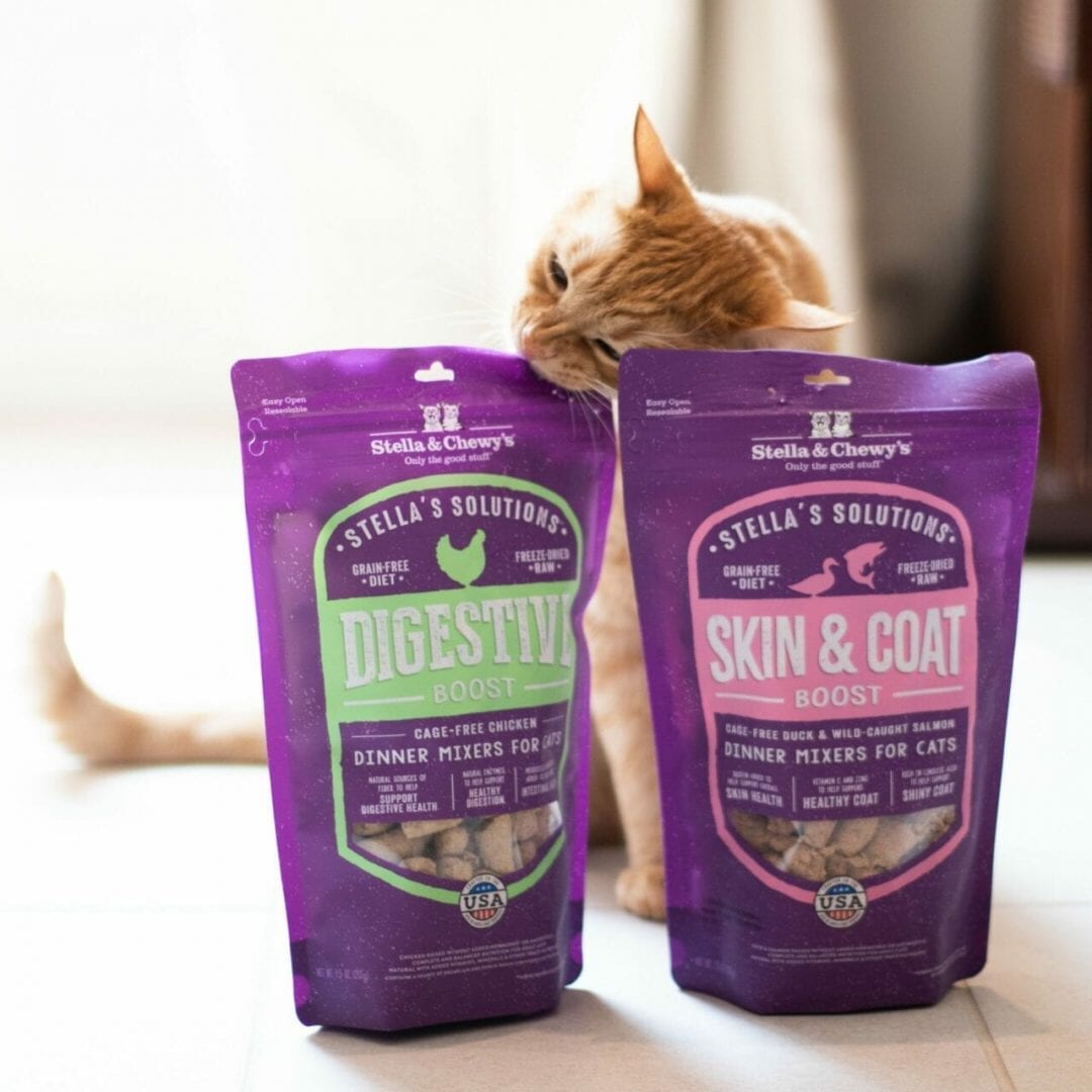Stella & Chewy's Solutions Digestive Boost Chicken Morsels Freeze Dried Cat Food, 7.5oz