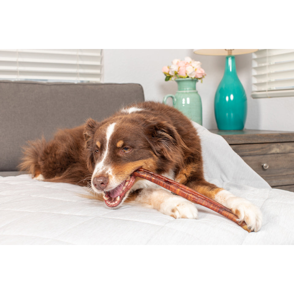 Natural Cravings USA Monster Bully Stick 12"